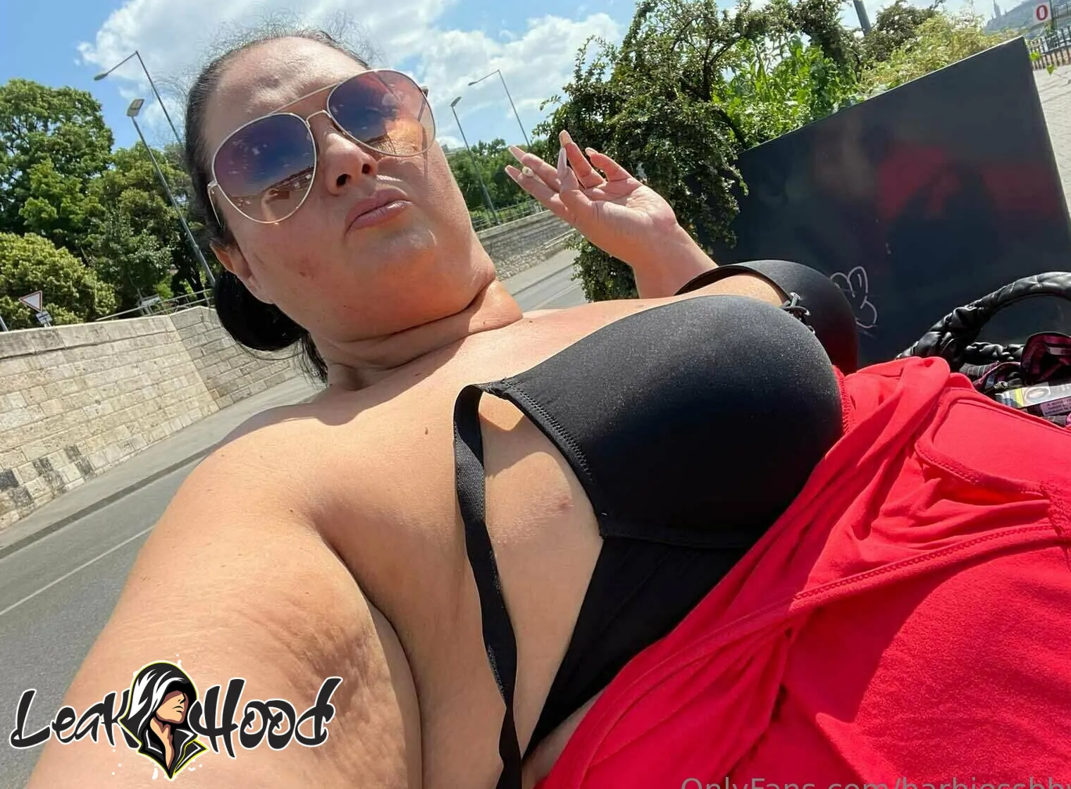 barbiessbbw Nude Leaks OnlyFans #117 - LeakHood