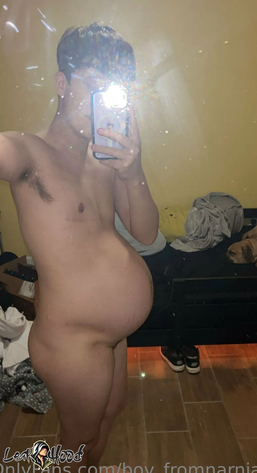 boy_fromnarnia1 Nude Leaks OnlyFans #9 - LeakHood