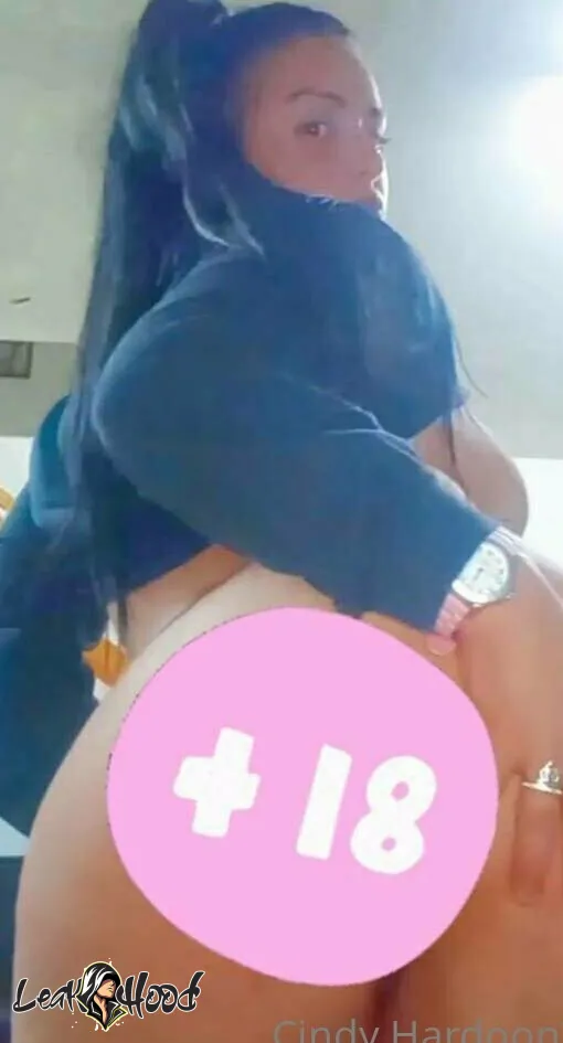 cindyhardoonn Nude Leaks OnlyFans #18 - LeakHood