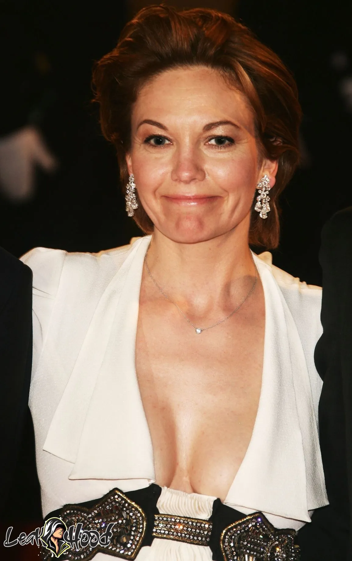 Diane Lane Nude Leaks OnlyFans #175 - LeakHood