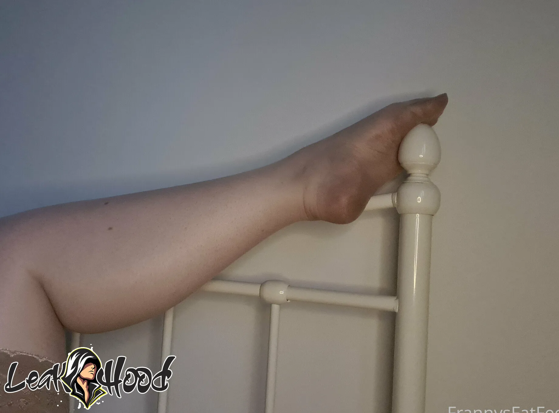 frannysfatfeetfree Nude Leaks OnlyFans #6 - LeakHood