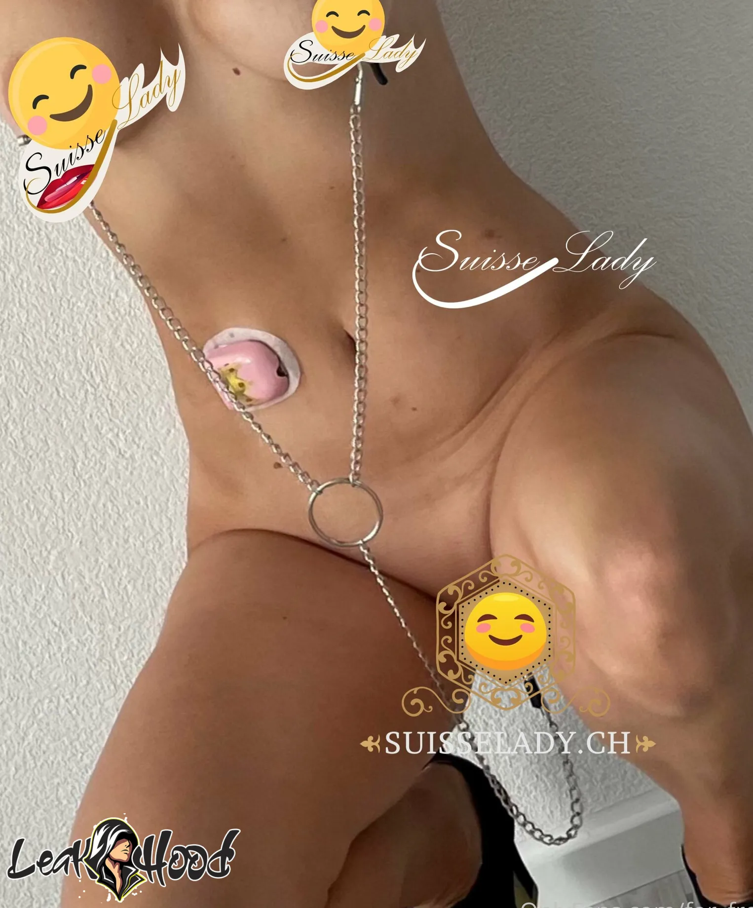 freeswissladyschweiz Nude Leaks OnlyFans #12 - LeakHood