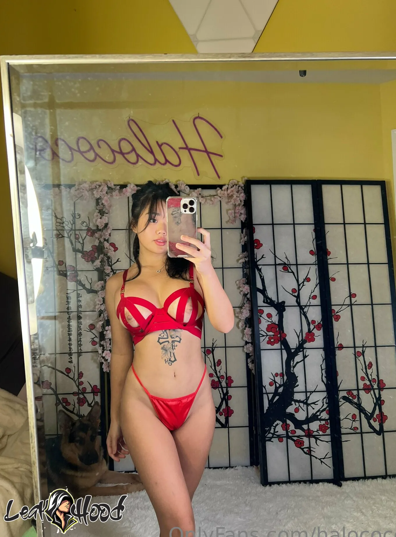 halococo Nude Leaks OnlyFans #69 - LeakHood