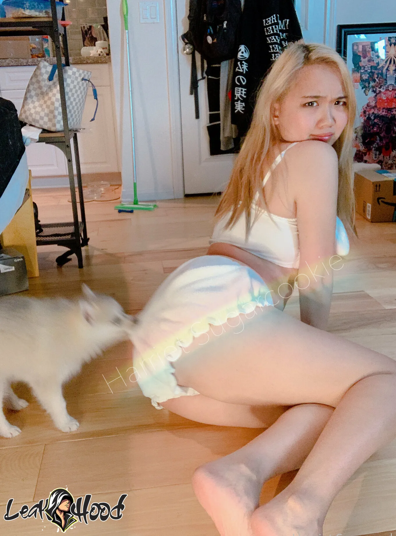 Harriet Sugarcookie Nude Leaks OnlyFans #254 - LeakHood