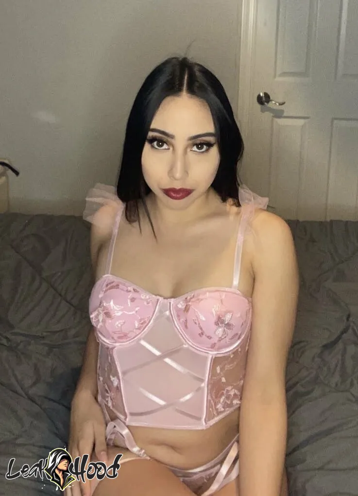 ivyyleaguebitxh Nude Leaks OnlyFans #11 - LeakHood