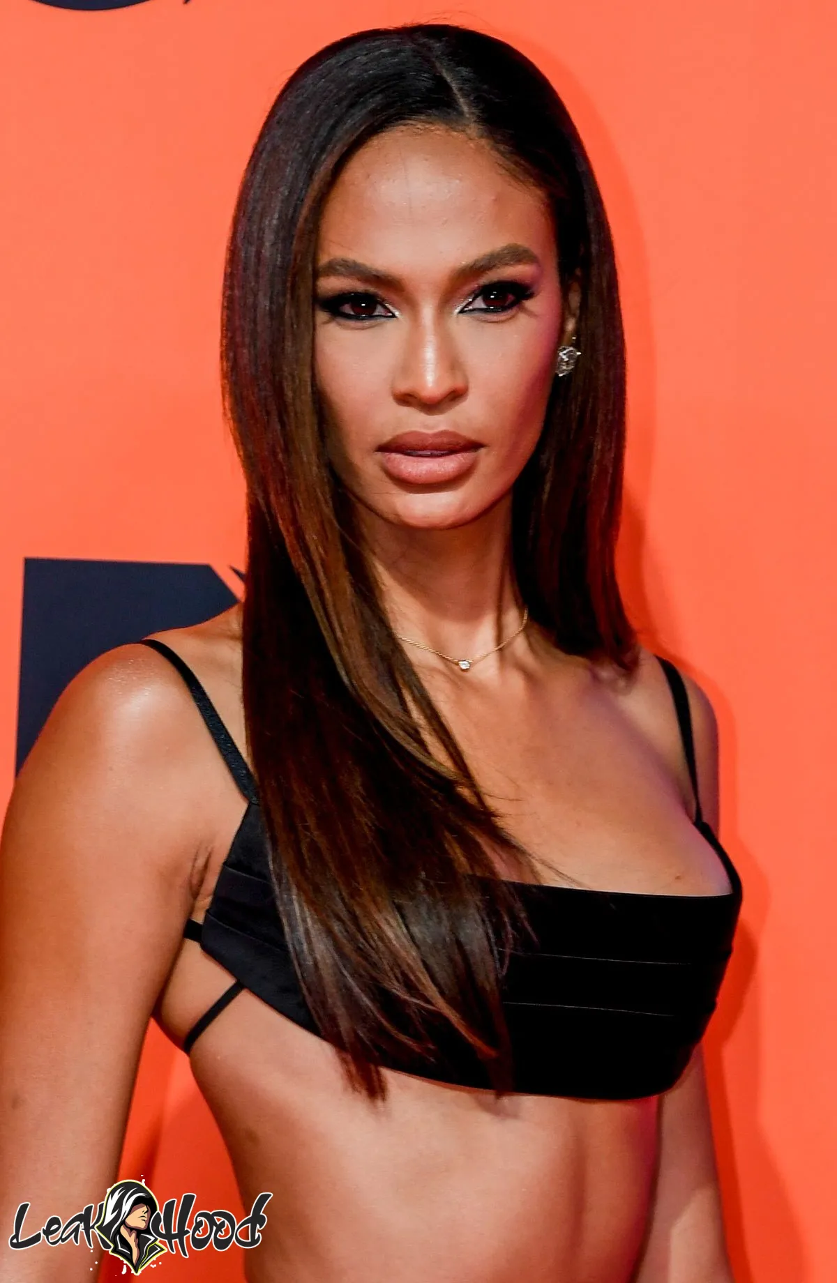 Joan Smalls Nude Leaks OnlyFans #189 - LeakHood