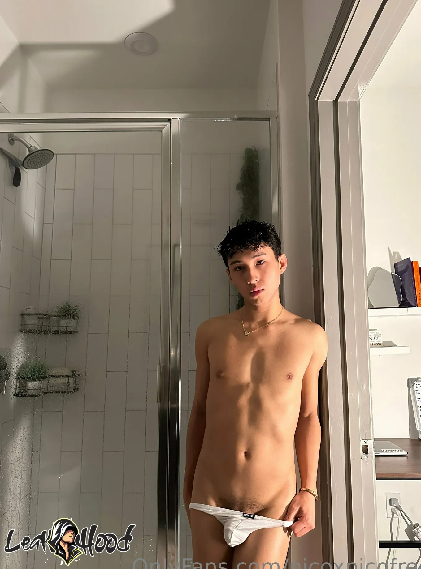 nicoxnicofree Nude Leaks OnlyFans #8 - LeakHood