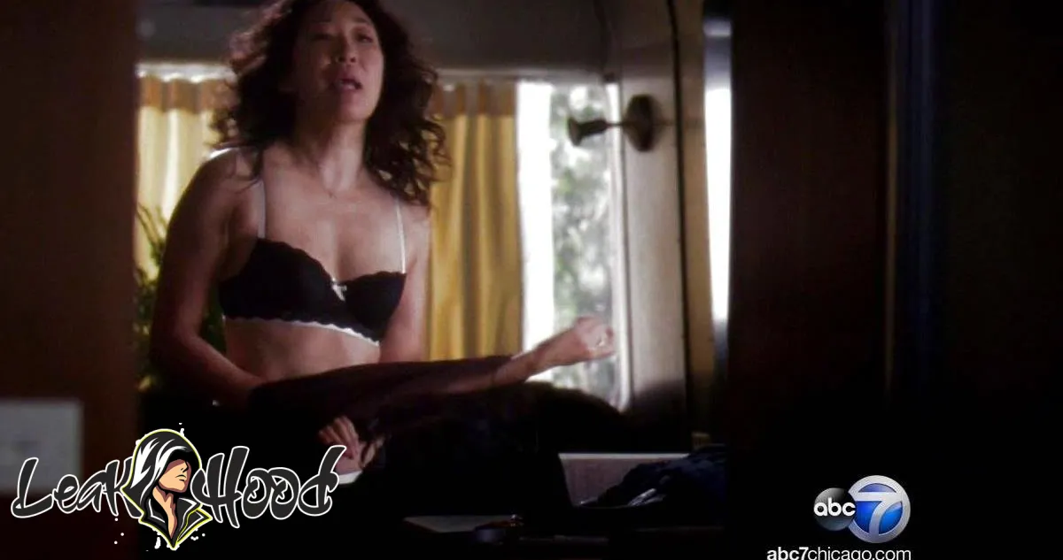 Sandra Oh Nude Leaks OnlyFans #19 - LeakHood