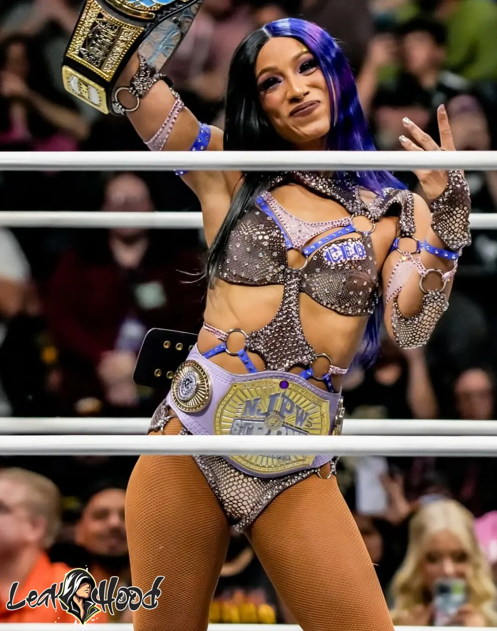 Sasha Banks Nude Leaks OnlyFans #777 - LeakHood