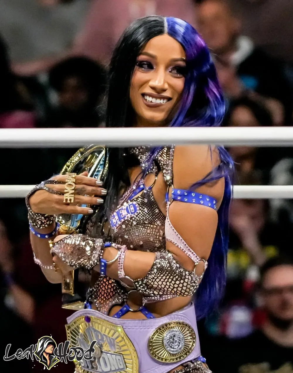 Sasha Banks Nude Leaks OnlyFans #789 - LeakHood