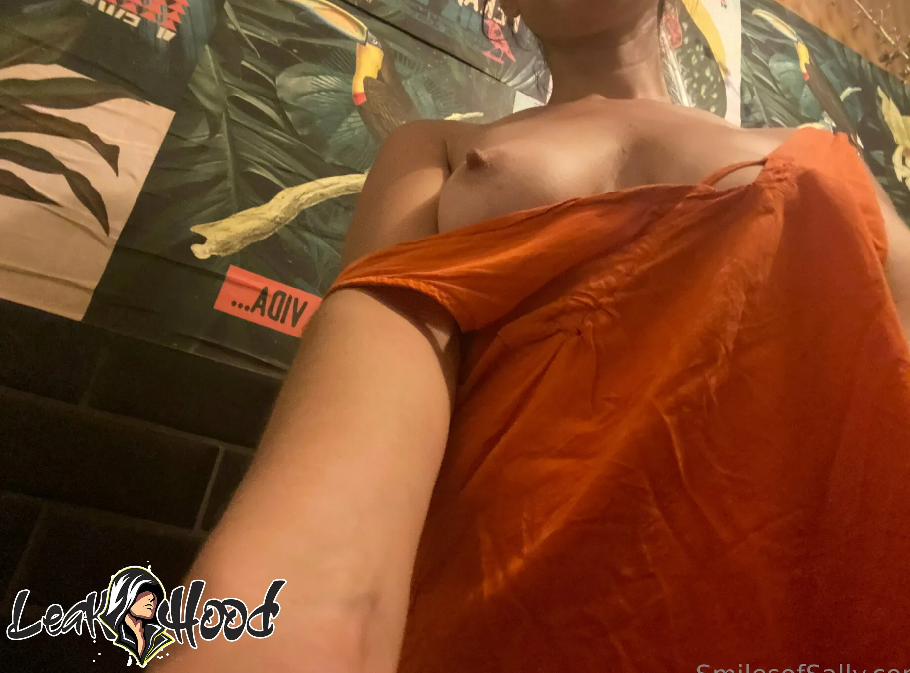 SmilesofSally Nude Leaks OnlyFans #277 - LeakHood