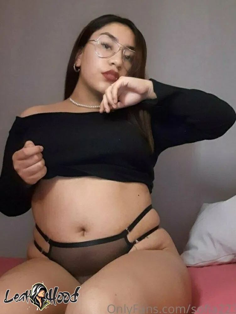 sofia2233 Nude Leaks OnlyFans #21 - LeakHood