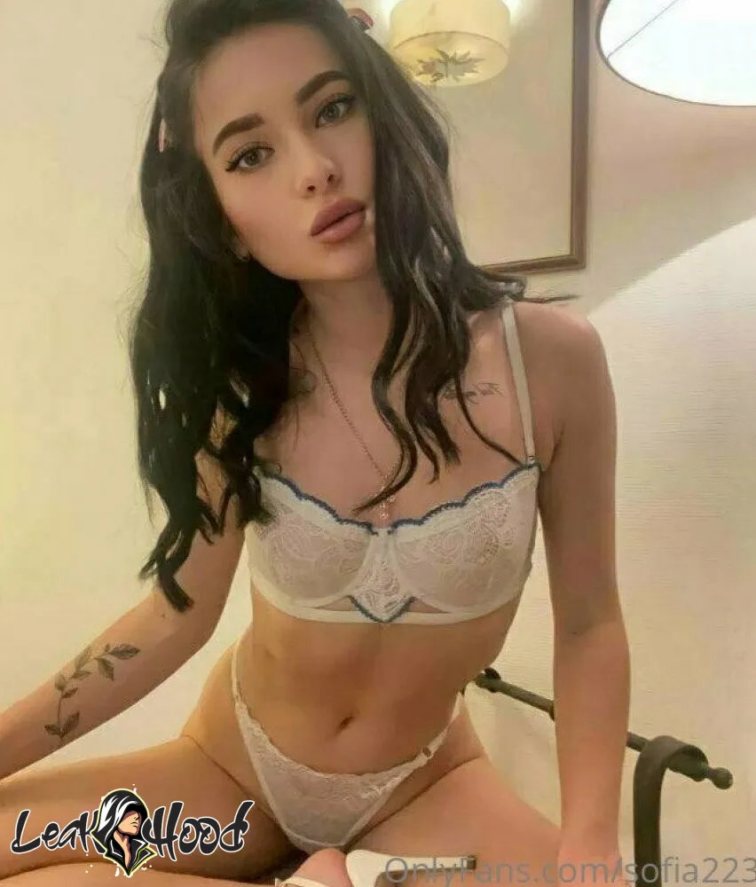 sofia2233 Nude Leaks OnlyFans #27 - LeakHood