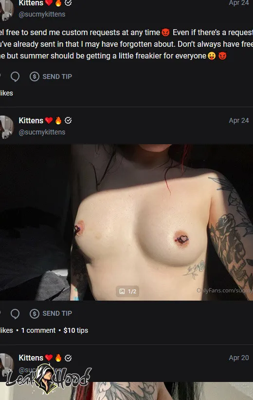 sucmykittens Nude Leaks OnlyFans #15 - LeakHood