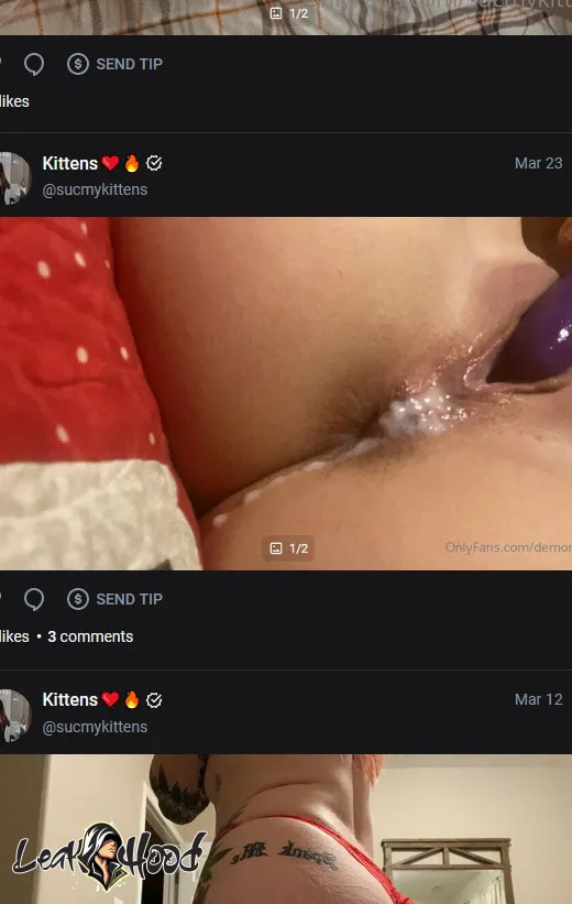 sucmykittens Nude Leaks OnlyFans #2 - LeakHood