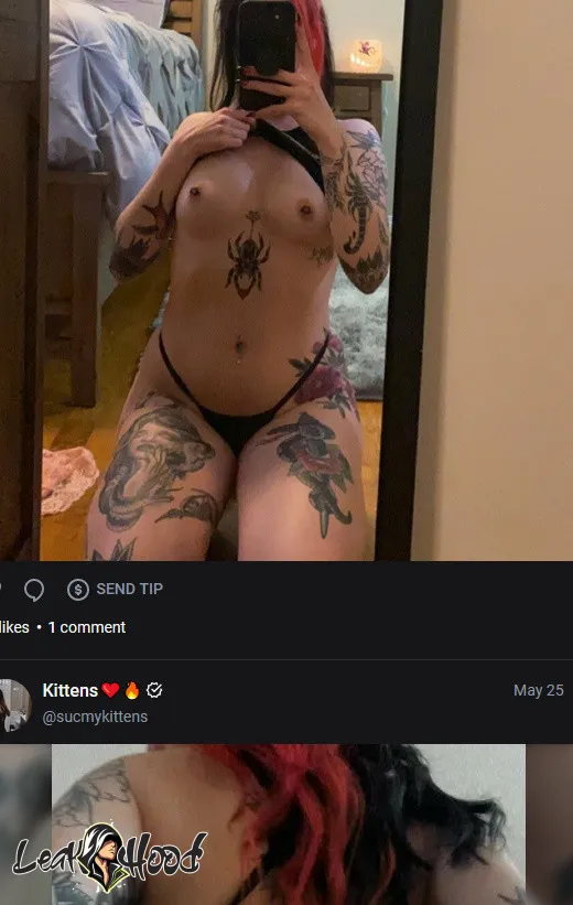 sucmykittens Nude Leaks OnlyFans #3 - LeakHood