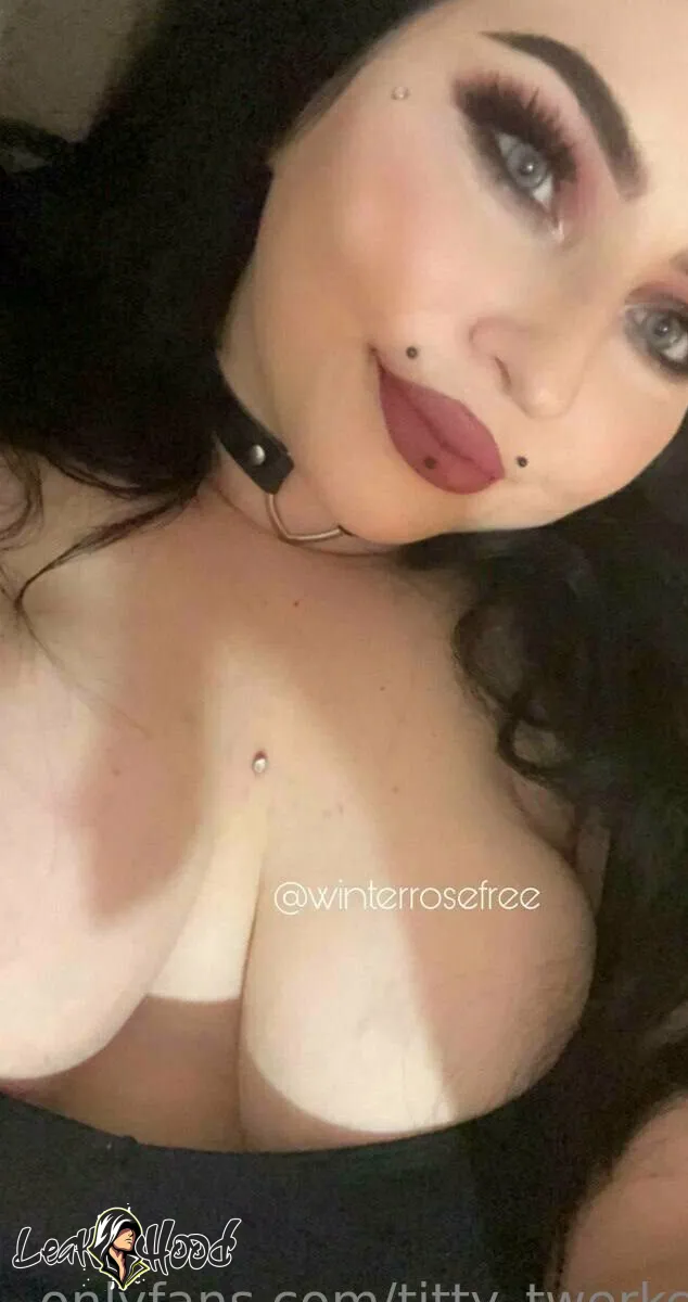 titty_twerker Nude Leaks OnlyFans #37 - LeakHood