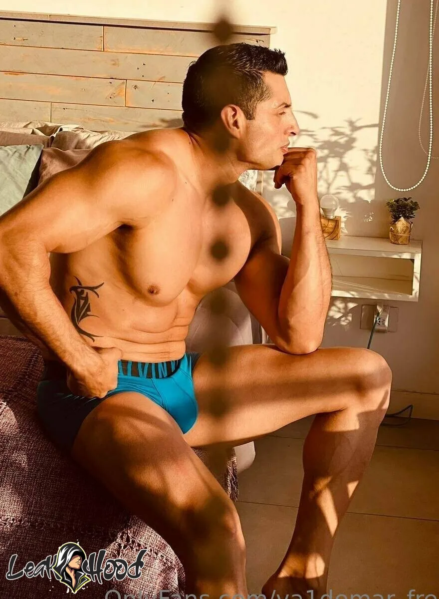 va1demar_free Nude Leaks OnlyFans #33 - LeakHood