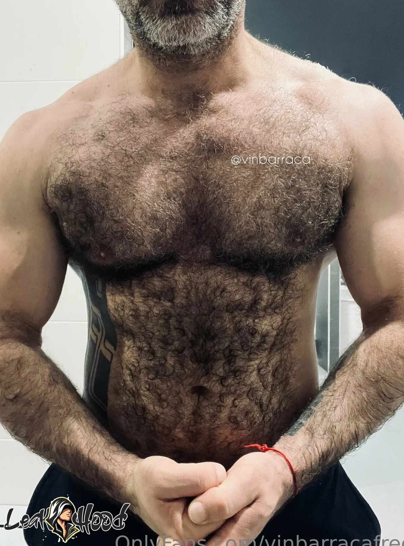 vinbarracafree Nude Leaks OnlyFans #10 - LeakHood