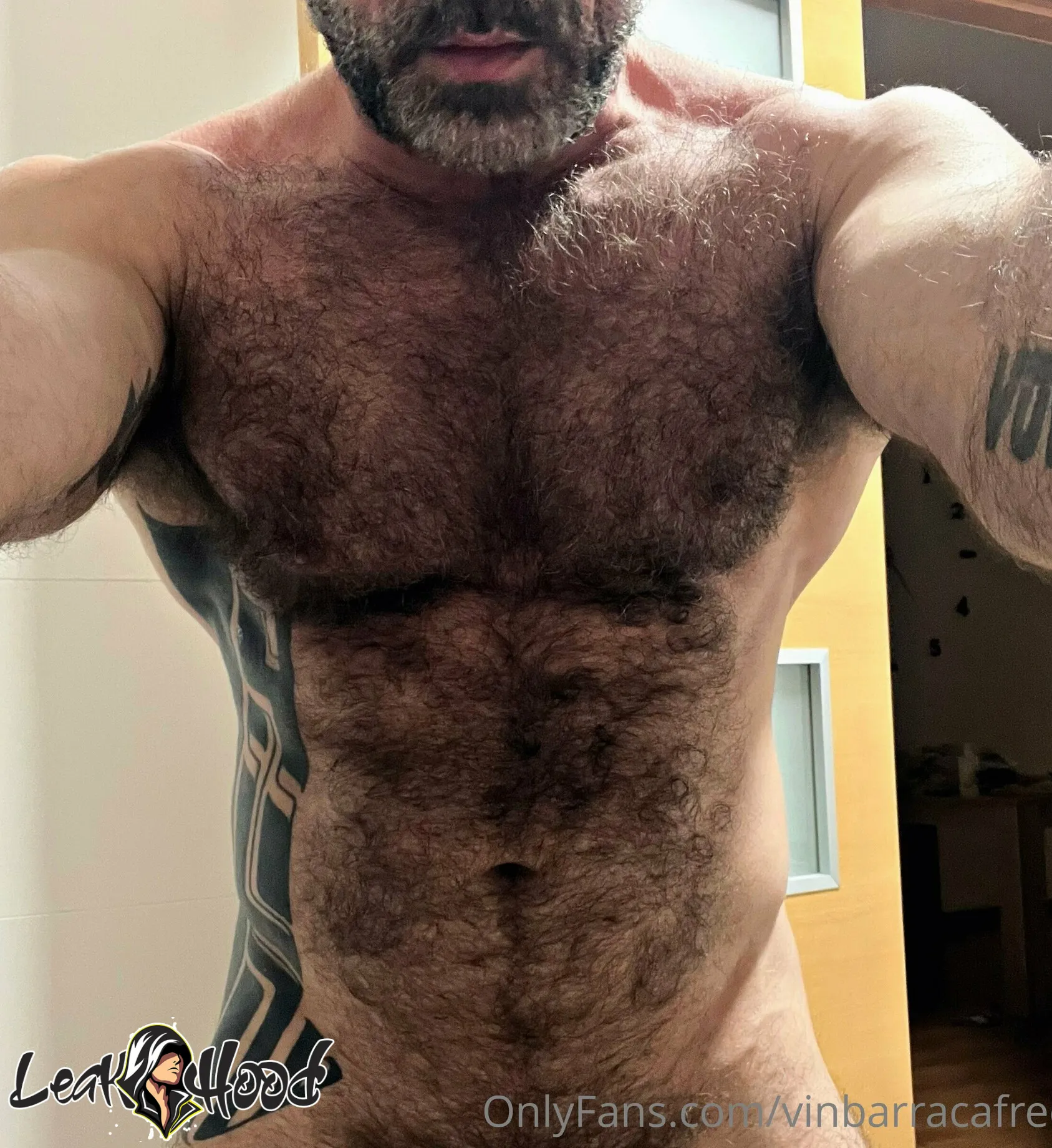 vinbarracafree Nude Leaks OnlyFans #11 - LeakHood