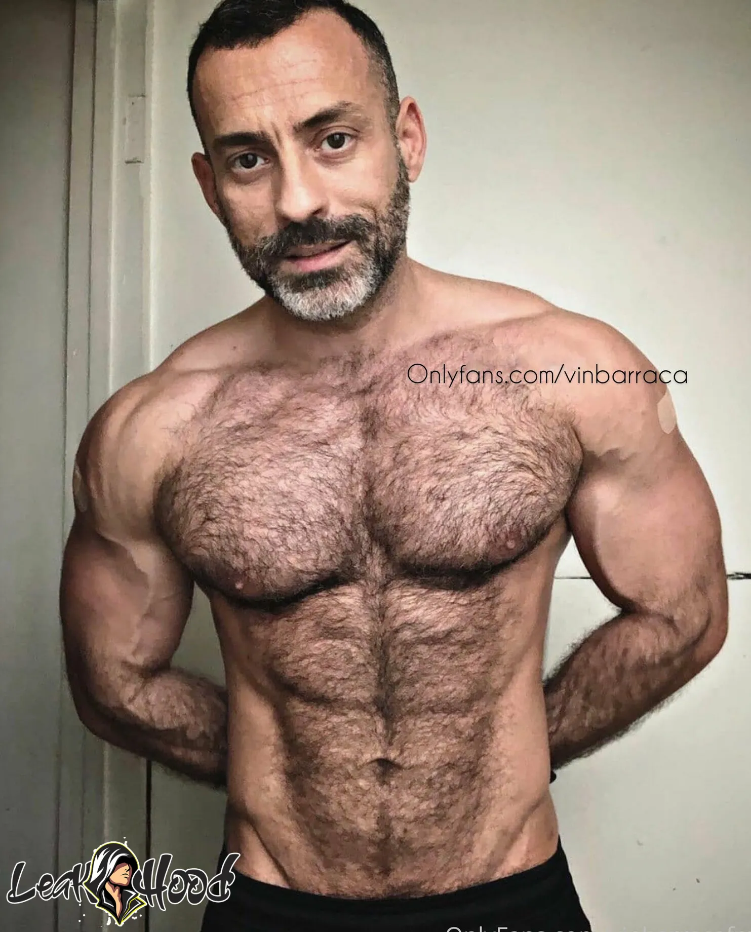 vinbarracafree Nude Leaks OnlyFans #12 - LeakHood