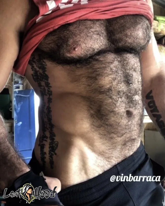 vinbarracafree Nude Leaks OnlyFans #25 - LeakHood