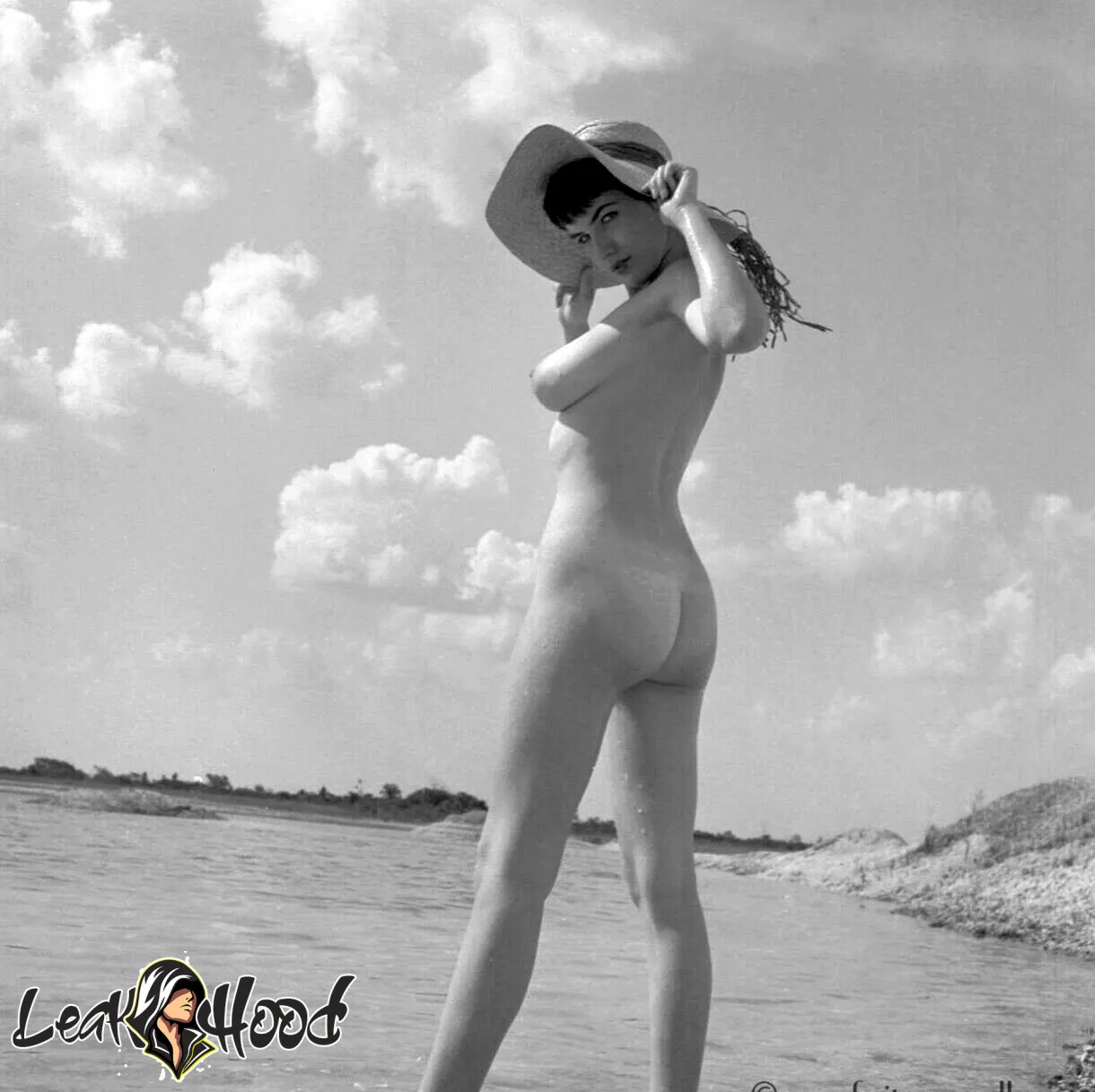 Vintage Starlets Nude Leaks OnlyFans #44 - LeakHood