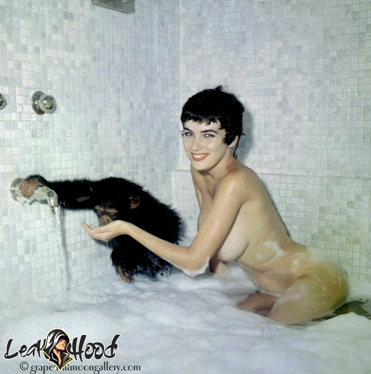 Vintage Starlets Nude Leaks OnlyFans #48 - LeakHood